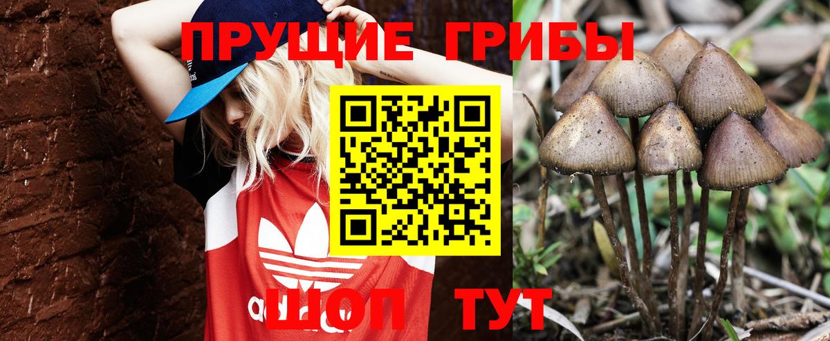Псилоцибиновые грибы мухоморы  наркотики  Галлюциногенные грибы ЛСД  Сочи  Вход с VPN 